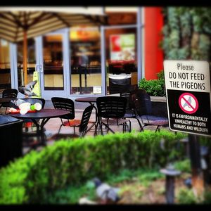 Image post by @realadamrose on Instagram
