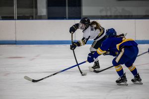 Image post by @su_whockey on Instagram