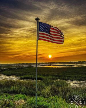 Image post by @southcarolina on Instagram