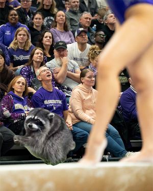 Image post by @uwgymnastics on Instagram