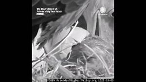 Video post by @accuweather on YouTube