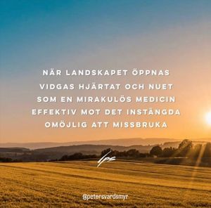 Image post by @petersvardsmyr on Instagram