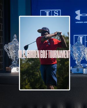 Image post by @gojsutigers on Instagram