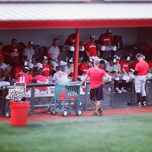 Image post by @marylandterrapins on Instagram