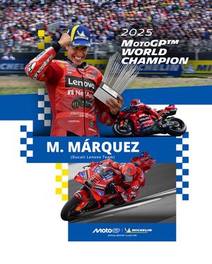Image post by @michelinmotorsport on Instagram