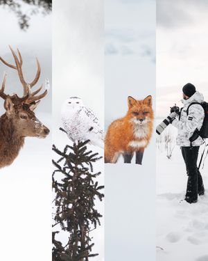Image post by @jonanthonyjames on Instagram