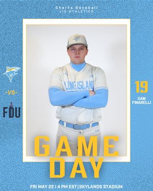 Image post by @liubaseball on Instagram
