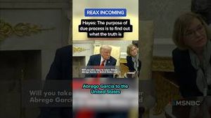 Video post by @msnbc on YouTube