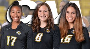 Image post by @towsontigersvb on Instagram