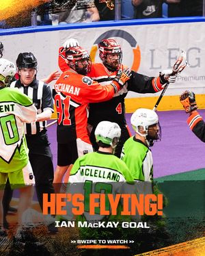 Image post by @nllbandits on Instagram