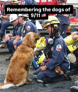 Image post by @chief_miller on Instagram