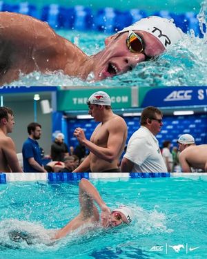 Image post by @smuswimdivem on Instagram