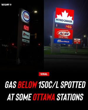 Image post by @shottawa.tv on Instagram