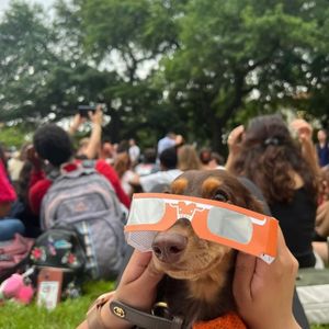 Image post by @utaustintx on Instagram