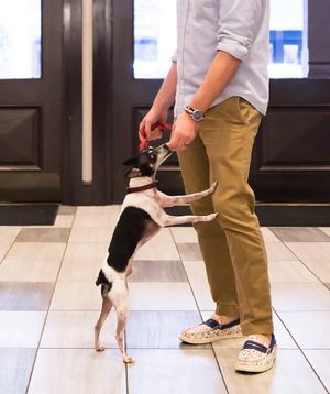 Image post by @HyattCentricFrenchQuarter on Facebook