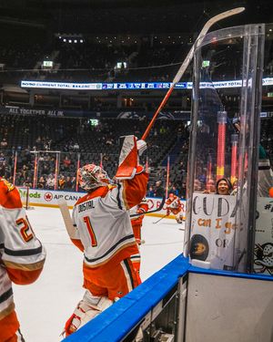 Image post by @anaheimducks on Instagram