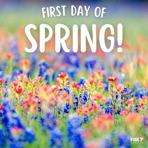 Image post by @fox7austin on Instagram