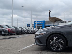 Image post by @mccarthyautogroup on Instagram
