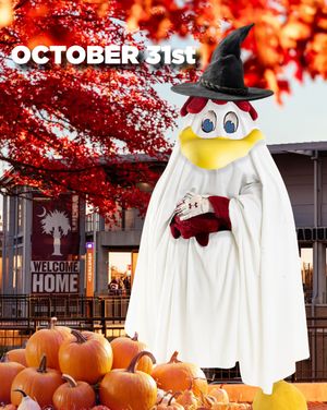 Image post by @gamecocksonline on Instagram