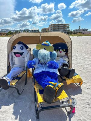 Image post by @raysraymond on Instagram