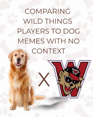 Video post by @washwildthings on TikTok