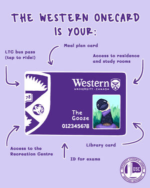 Image post by @westernusc on Instagram
