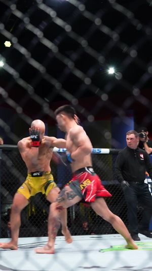 Video post by @ufc on TikTok