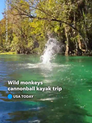Video post by @usatoday on TikTok