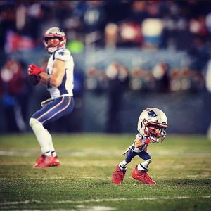 Image post by @je11.nation on Instagram