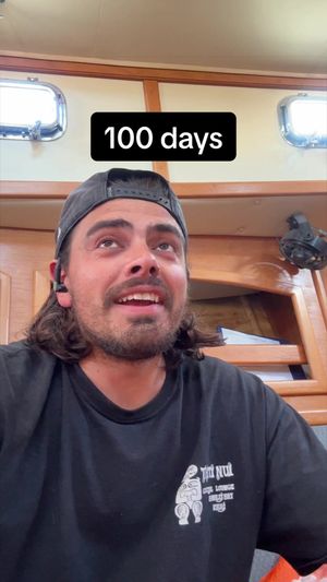 Video post by @sailing_with_phoenix on TikTok