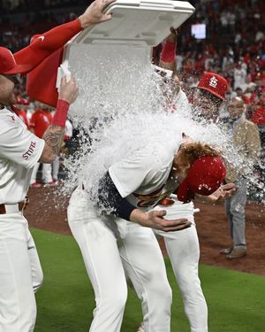 Image post by @cardinals on Instagram