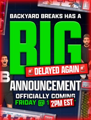 Image post by @backyardbreaks on Instagram