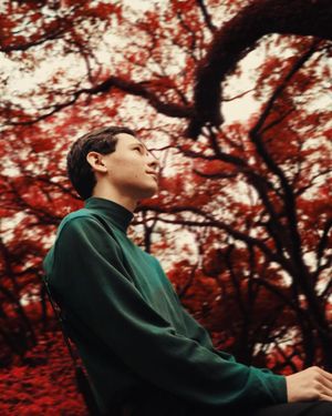 Image post by @wisdm on Instagram