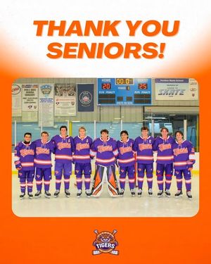 Image post by @clemsonicehockey on Instagram