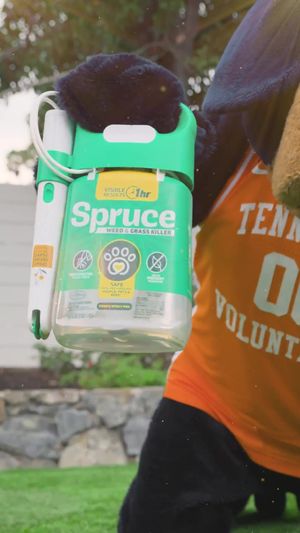 Video post by @vol_sports on TikTok