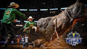 Video post by @pbr on YouTube