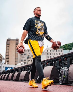Image post by @hamiltontigercats on Instagram