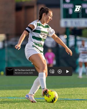 Image post by @binghamtonwsoc on Instagram