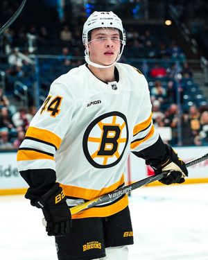 Image post by @nhl on Instagram