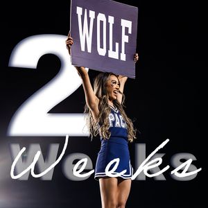 Image post by @nevadacheerleading on Instagram