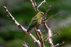 Image post by @jackpowerphotography on Instagram