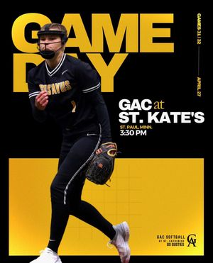 Image post by @gustiesoftball on Instagram