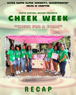 Image post by @texas_akas on Instagram