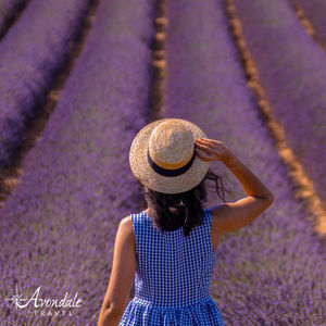 Image post by @AvondaleTravel on Facebook