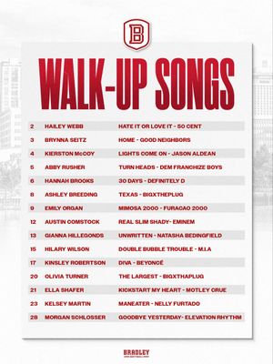 Image post by @BradleySoftball on Twitter