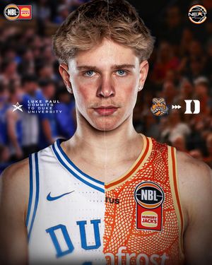 Video post by @nbl on TikTok