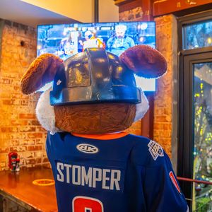 Image post by @swamprabbits on Instagram