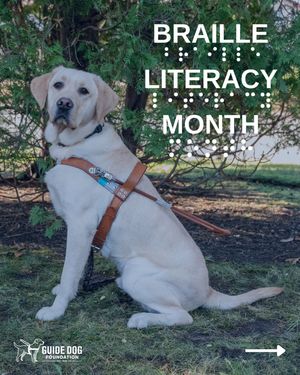Image post by @guidedogfoundation on Instagram