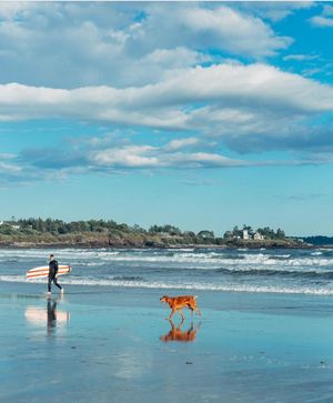 Image post by @themainemag on Instagram