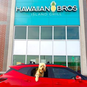 Image post by @hawaiianbros on Instagram